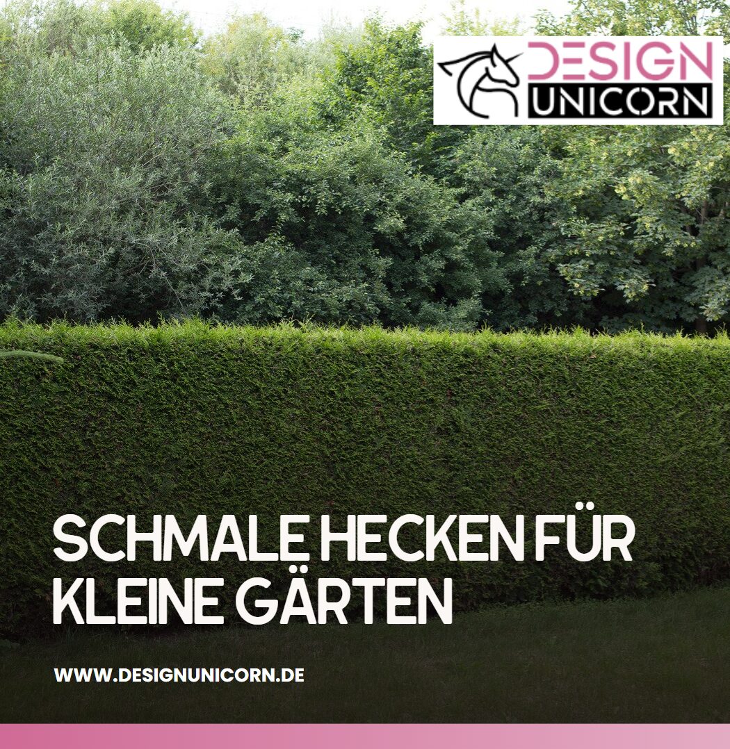 Pflegeleichte Heckenpflanzen Schmale Hecken für kleine Gärten