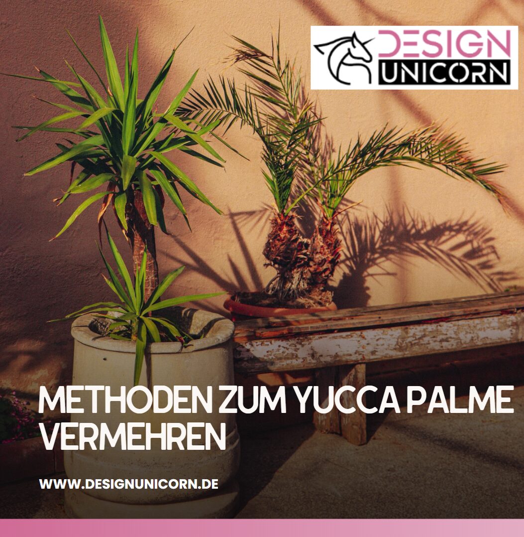 Methoden zum Yucca Palme vermehren Methoden zum Yucca Palme vermehren