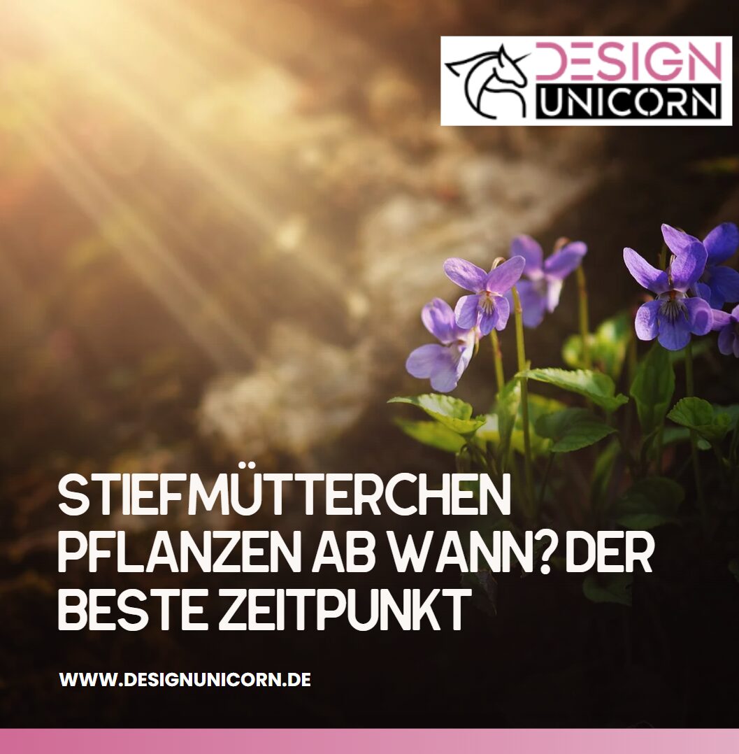 Stiefmütterchen pflanzen ab wann Der beste Zeitpunkt