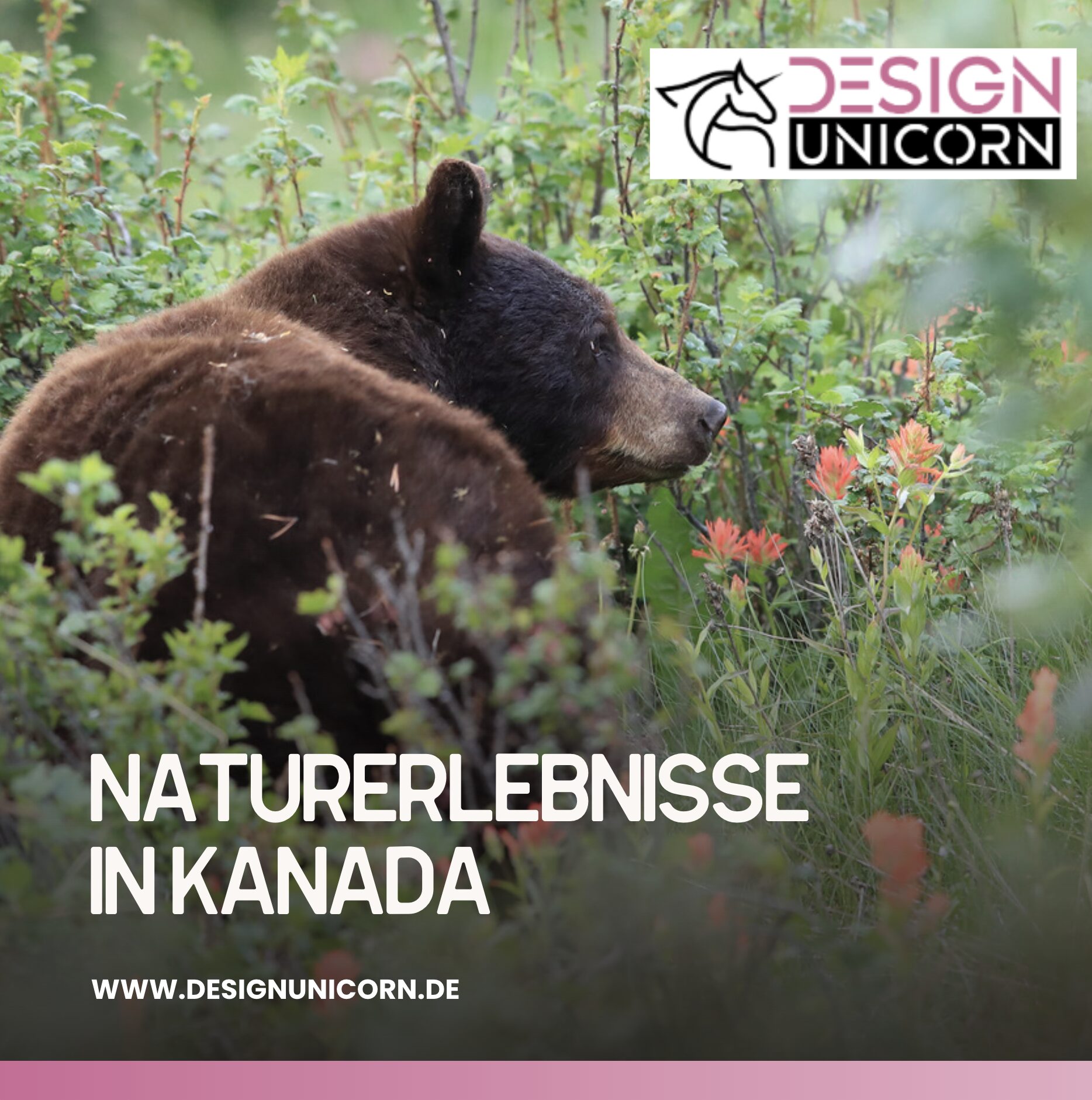 Naturerlebnisse in Kanada