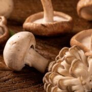 Getrocknete Pilze