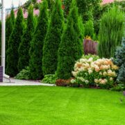 Gartenideen um Hortensien und Gräser zu kombinieren Inspiration für moderne Gartengestaltung