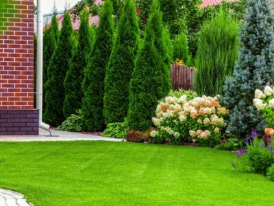 Gartenideen um Hortensien und Gräser zu kombinieren Inspiration für moderne Gartengestaltung