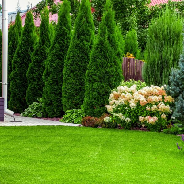 Gartenideen um Hortensien und Gräser zu kombinieren Inspiration für moderne Gartengestaltung